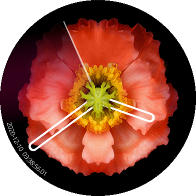 ../_images/animated_watchface.png